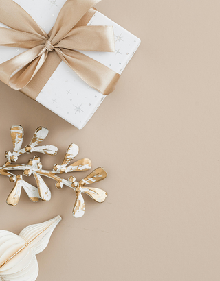 Gift box with a bow and decorative branches on a beige background